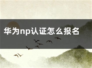 華為np認(rèn)證怎么報名