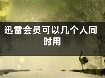 迅雷會(huì)員可以幾個(gè)人同時(shí)用