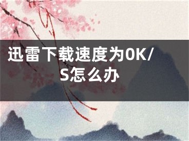 迅雷下載速度為0K/S怎么辦