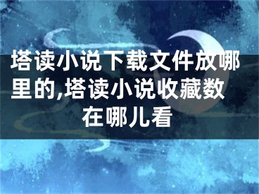 塔讀小說下載文件放哪里的,塔讀小說收藏?cái)?shù)在哪兒看