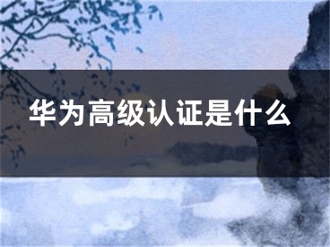 華為高級認證是什么