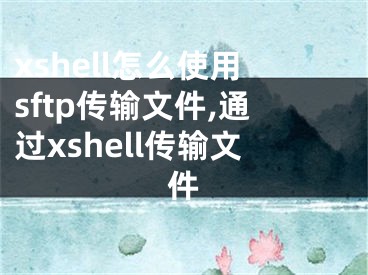 xshell怎么使用sftp傳輸文件,通過xshell傳輸文件