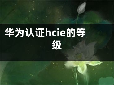 華為認證hcie的等級