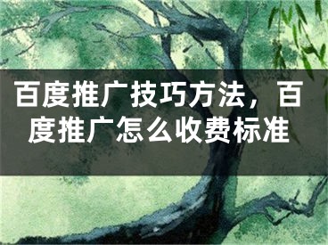 百度推廣技巧方法，百度推廣怎么收費(fèi)標(biāo)準(zhǔn)