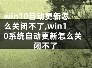 win10自動更新怎么關(guān)閉不了,win10系統(tǒng)自動更新怎么關(guān)閉不了