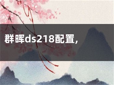 群暉ds218配置,