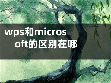 wps和microsoft的區(qū)別在哪