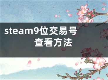 steam9位交易號查看方法