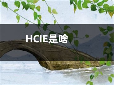 HCIE是啥