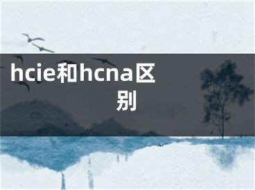 hcie和hcna區(qū)別