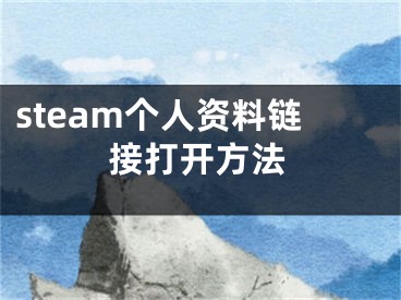 steam個(gè)人資料鏈接打開方法