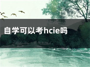 自學(xué)可以考hcie嗎