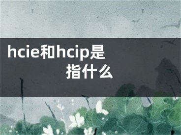 hcie和hcip是指什么