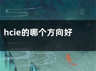 hcie的哪個方向好