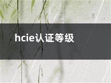 hcie認(rèn)證等級(jí)