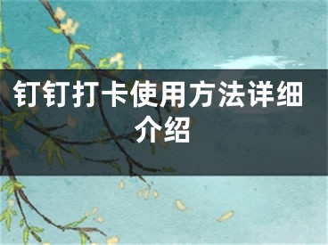 釘釘打卡使用方法詳細(xì)介紹