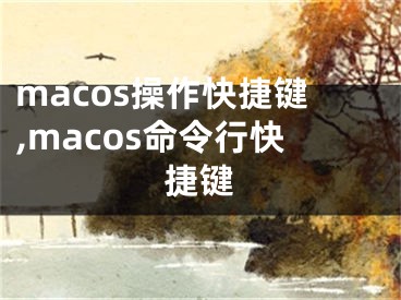 macos操作快捷鍵,macos命令行快捷鍵