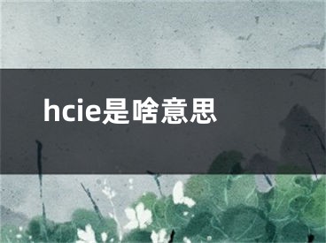 hcie是啥意思