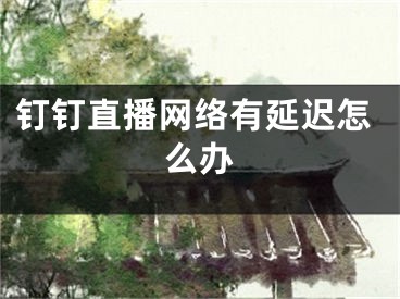 釘釘直播網絡有延遲怎么辦