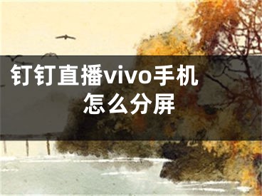 釘釘直播vivo手機(jī)怎么分屏