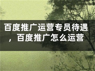 百度推廣運(yùn)營(yíng)專員待遇，百度推廣怎么運(yùn)營(yíng)