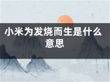 小米為發(fā)燒而生是什么意思