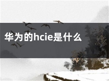 華為的hcie是什么