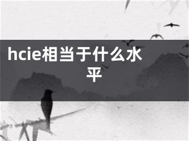 hcie相當(dāng)于什么水平