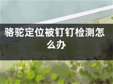 駱駝定位被釘釘檢測(cè)怎么辦