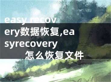 easy recovery數(shù)據(jù)恢復(fù),easyrecovery怎么恢復(fù)文件