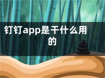 釘釘app是干什么用的