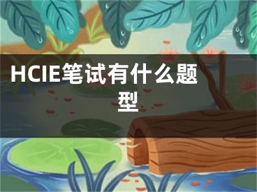 HCIE筆試有什么題型