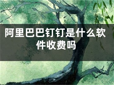 阿里巴巴釘釘是什么軟件收費(fèi)嗎