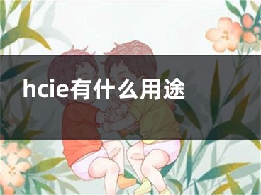 hcie有什么用途