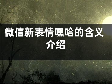 微信新表情嘿哈的含義介紹