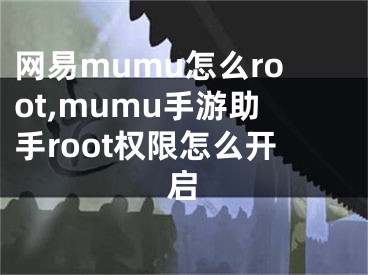 網(wǎng)易mumu怎么root,mumu手游助手root權(quán)限怎么開啟