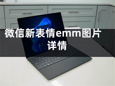 微信新表情emm圖片詳情