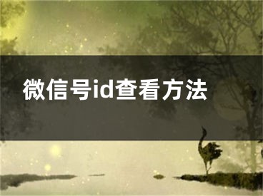 微信號(hào)id查看方法