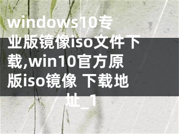 windows10專業(yè)版鏡像iso文件下載,win10官方原版iso鏡像 下載地址_1