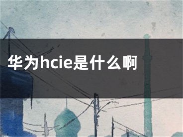 華為hcie是什么啊