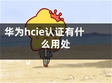 華為hcie認(rèn)證有什么用處