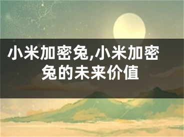 小米加密兔,小米加密兔的未來價(jià)值