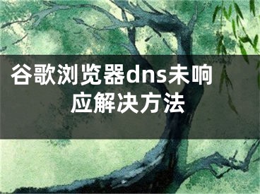 谷歌瀏覽器dns未響應(yīng)解決方法