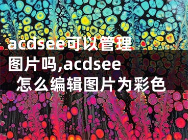 acdsee可以管理圖片嗎,acdsee怎么編輯圖片為彩色