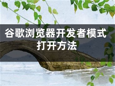 谷歌瀏覽器開(kāi)發(fā)者模式打開(kāi)方法