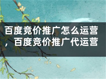 百度競價推廣怎么運營，百度競價推廣代運營