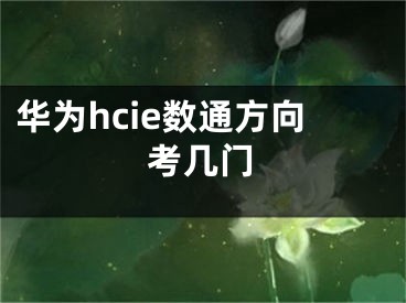 華為hcie數(shù)通方向考幾門