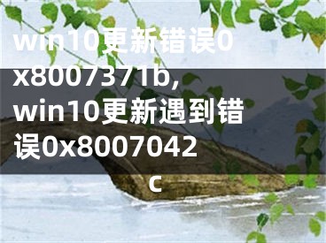 win10更新錯(cuò)誤0x8007371b,win10更新遇到錯(cuò)誤0x8007042c