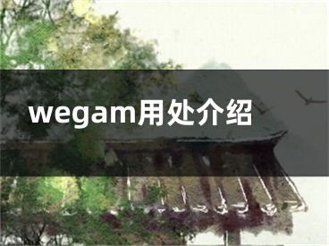 wegam用處介紹