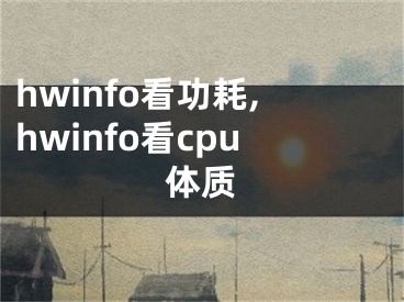 hwinfo看功耗,hwinfo看cpu體質(zhì)